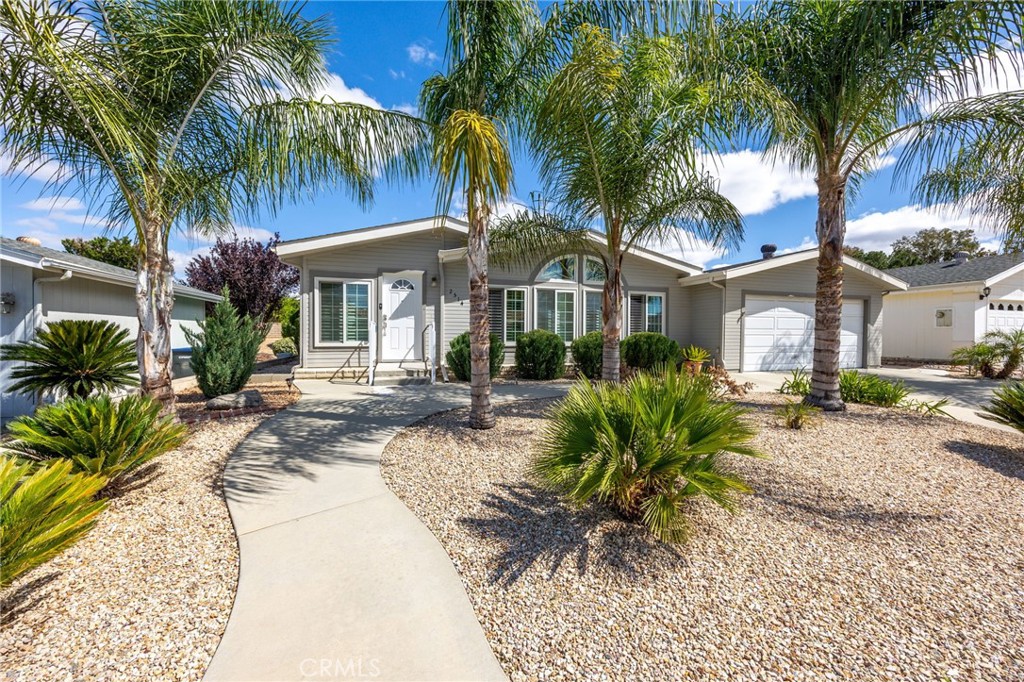 2514 Peach Tree