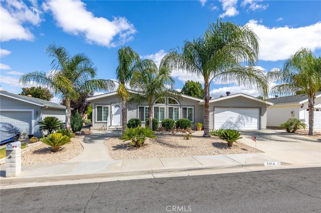 2514 Peach Tree