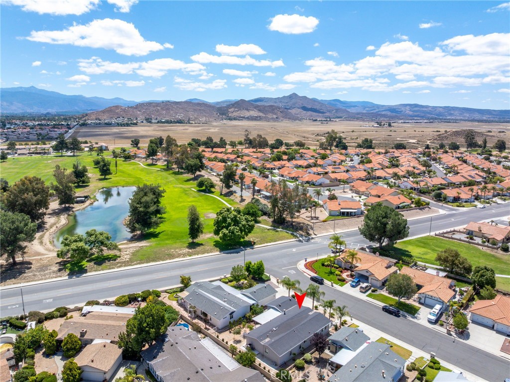 2514 Peach Tree