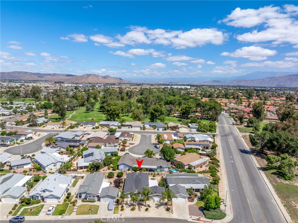 2514 Peach Tree