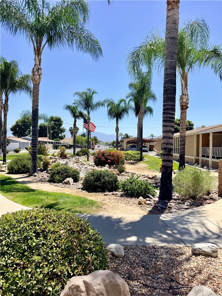 1392 Lodgepole Drive