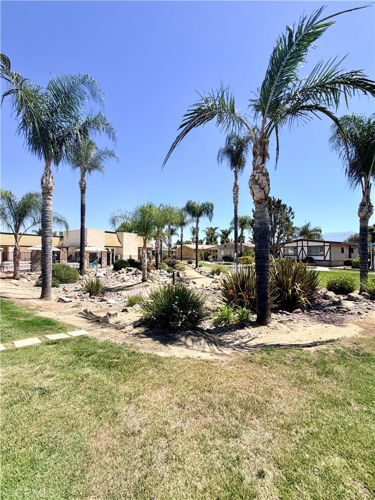 1392 Lodgepole Drive