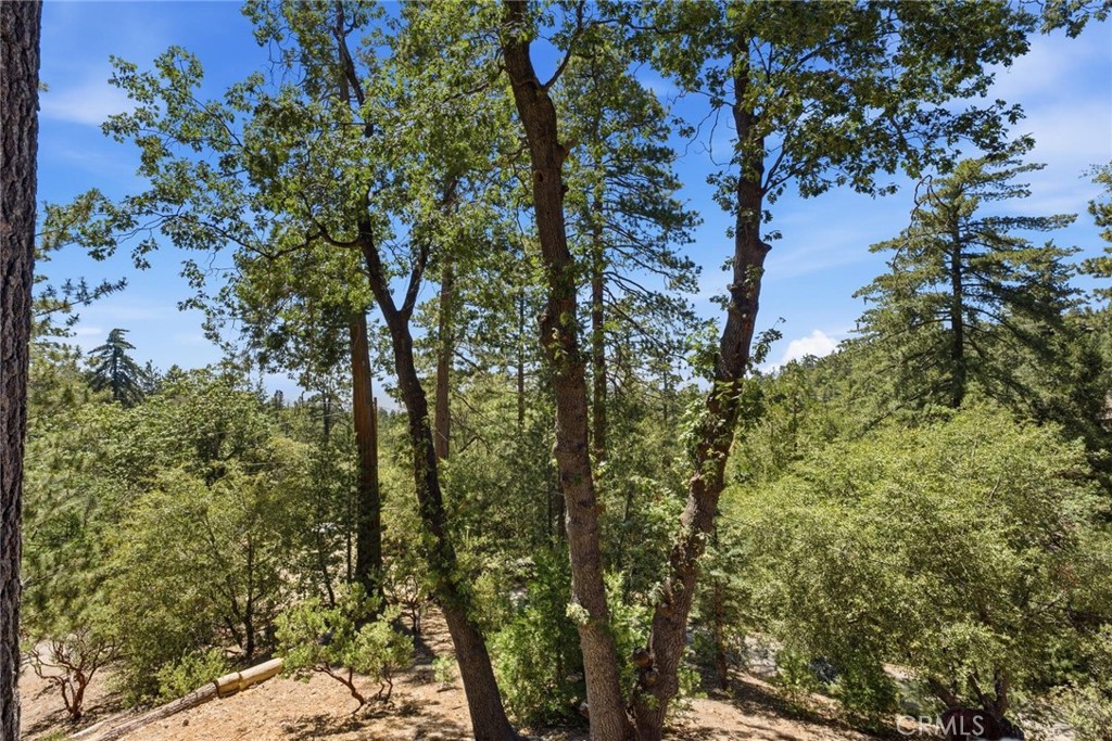 2475 Schaffer Drive