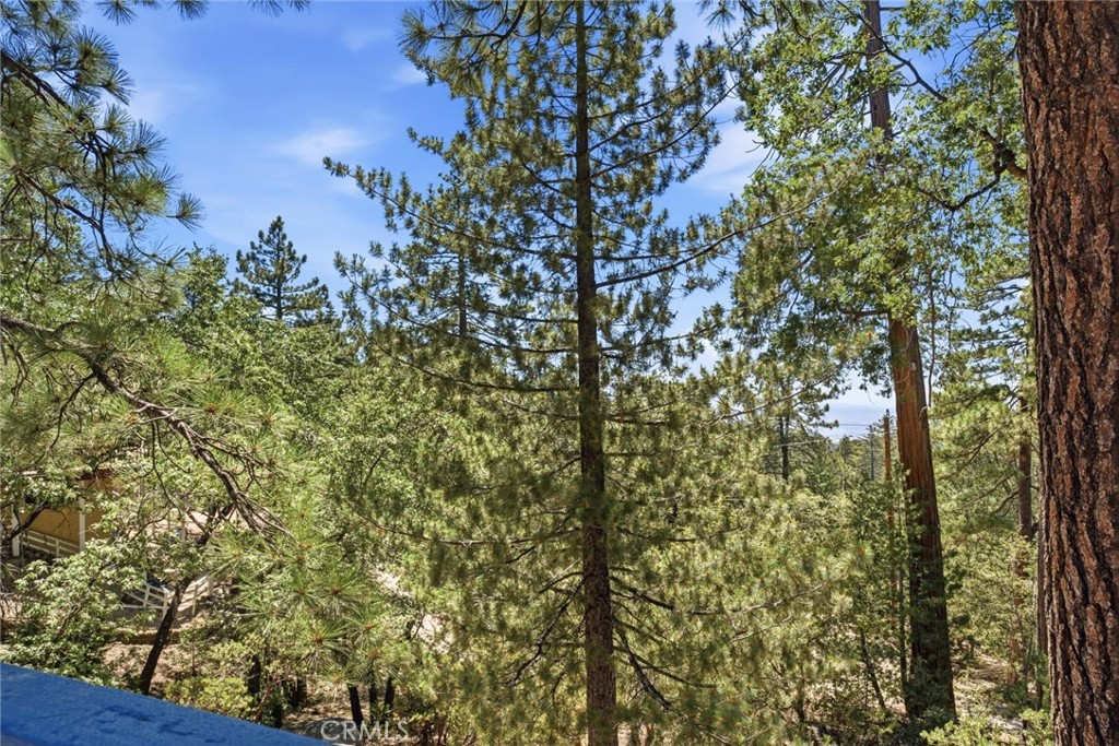 2475 Schaffer Drive