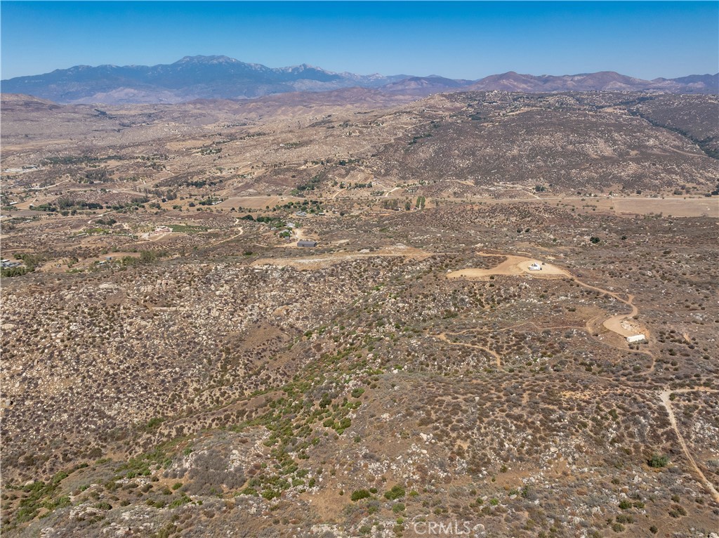 33445 Chameleon