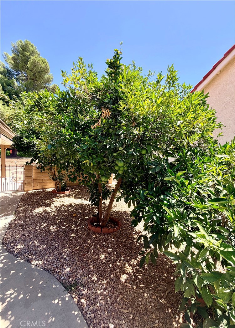 1874 Ash Tree Lane