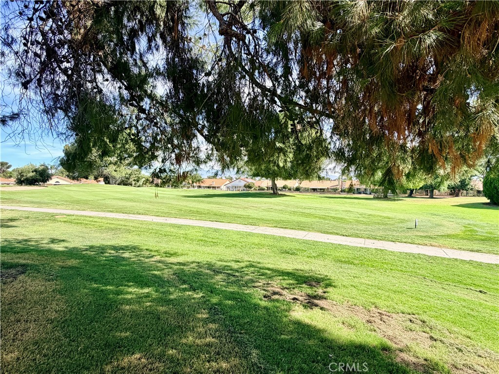 1874 Ash Tree Lane