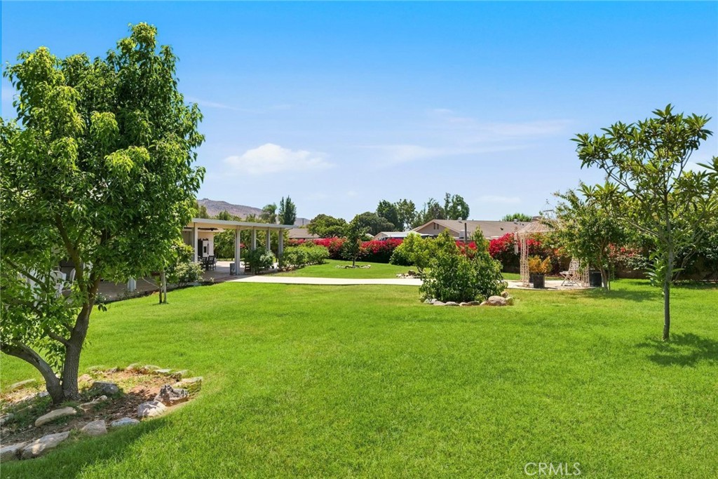 8326 Saddle Creek Drive