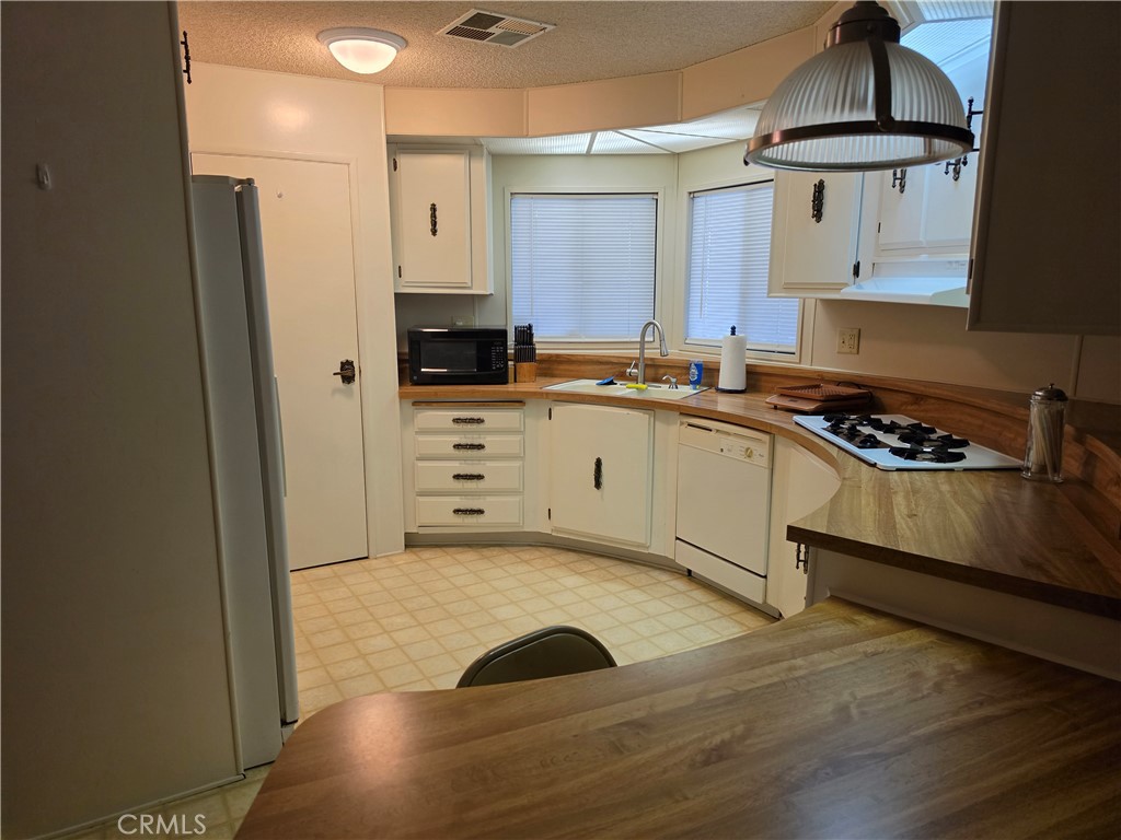 2981 Blue Spruce