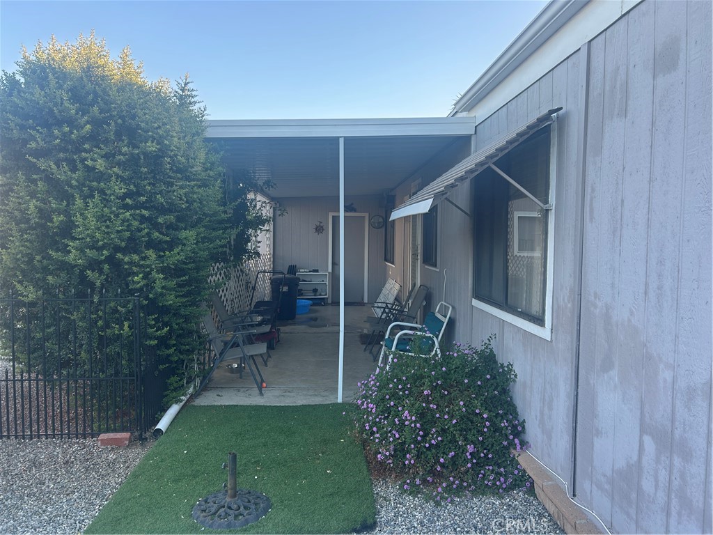 2981 Blue Spruce