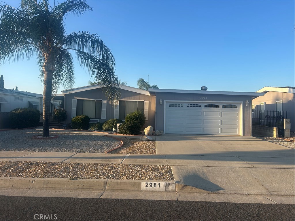 2981 Blue Spruce