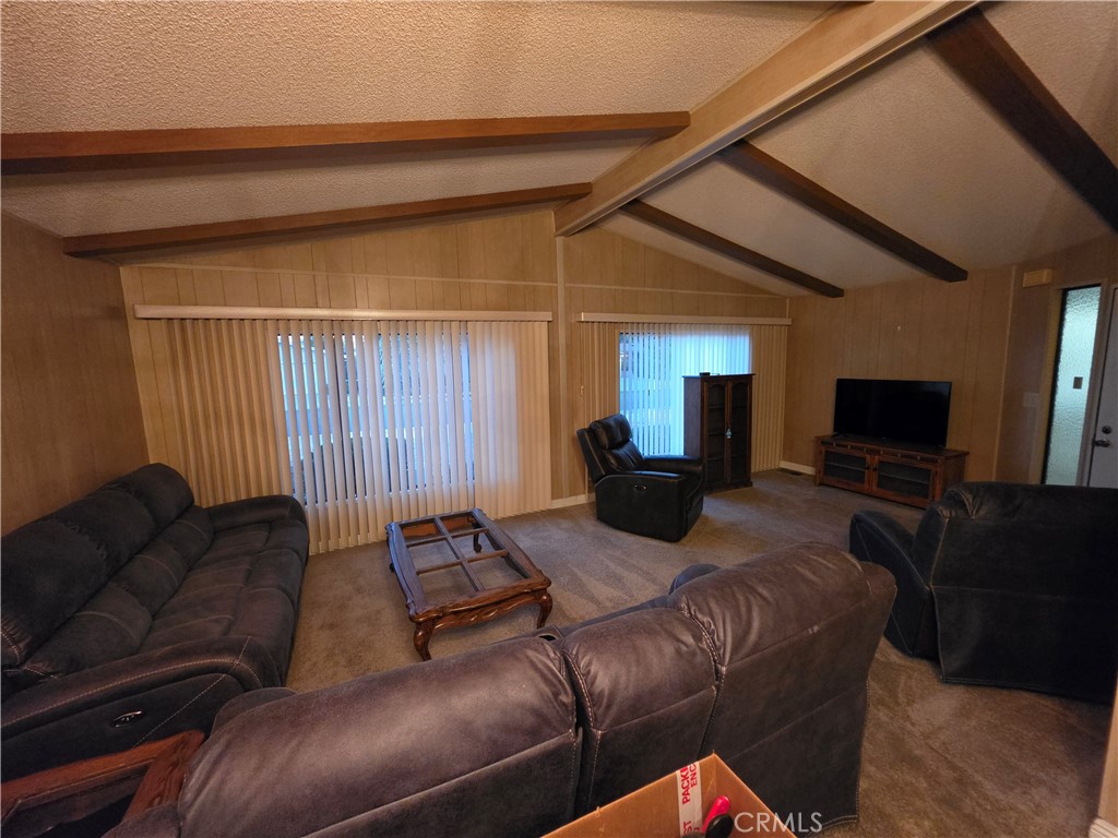 2981 Blue Spruce