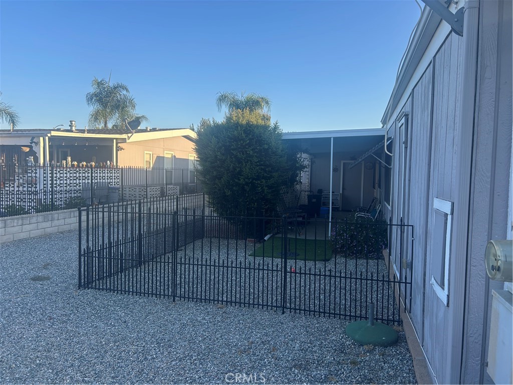 2981 Blue Spruce