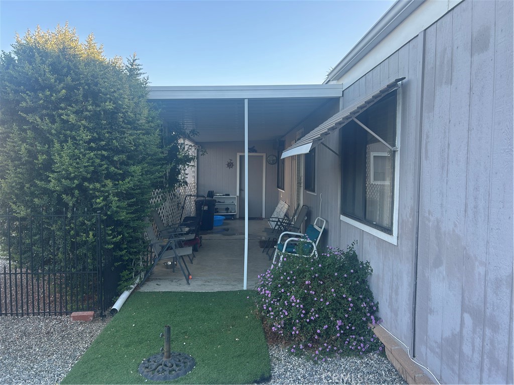 2981 Blue Spruce
