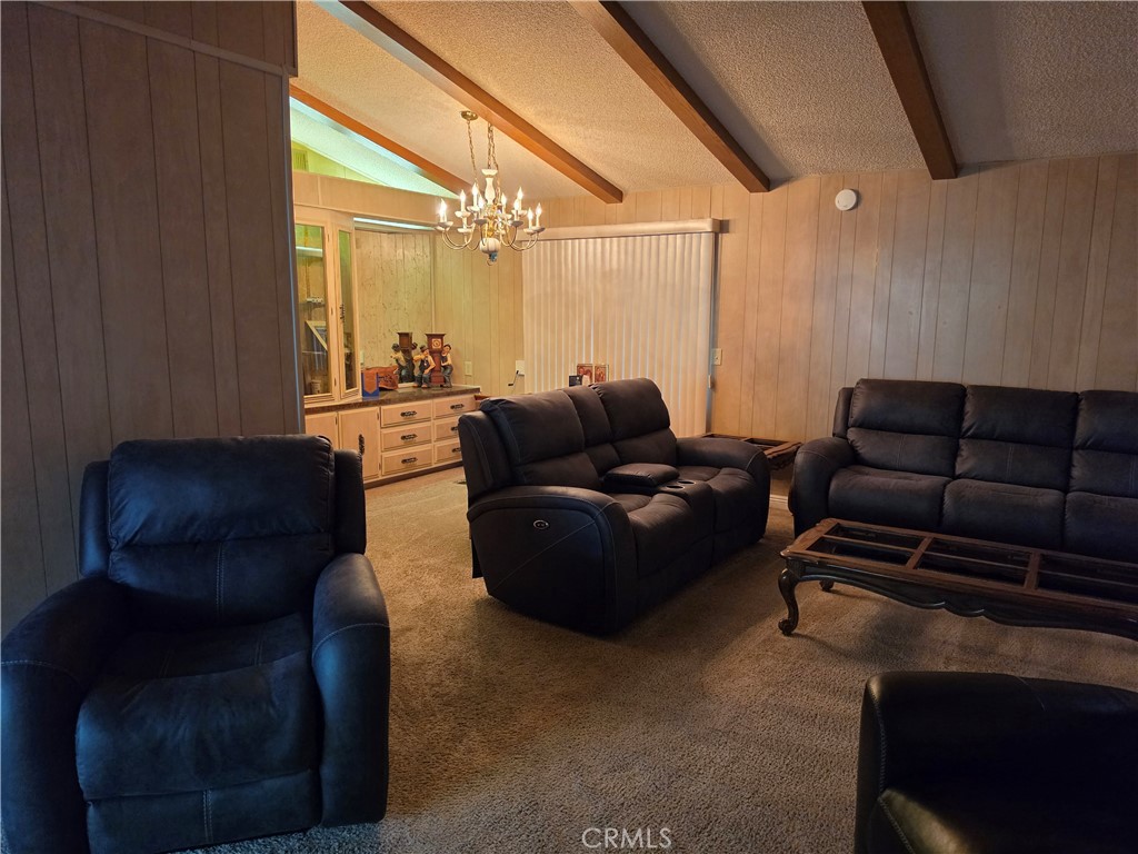 2981 Blue Spruce
