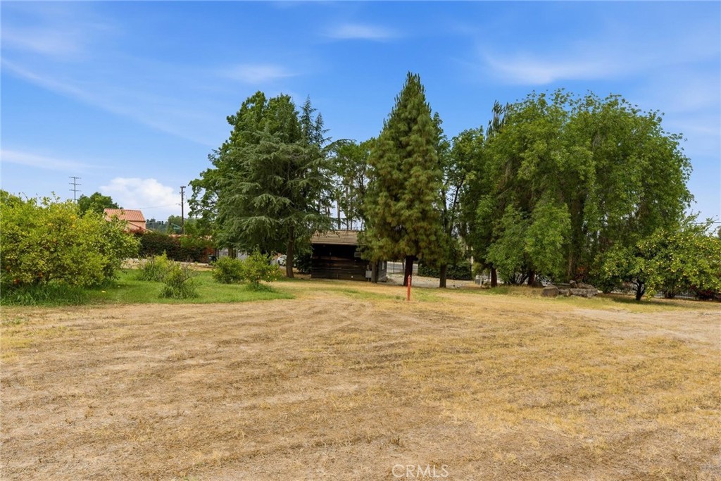 24163 Barton