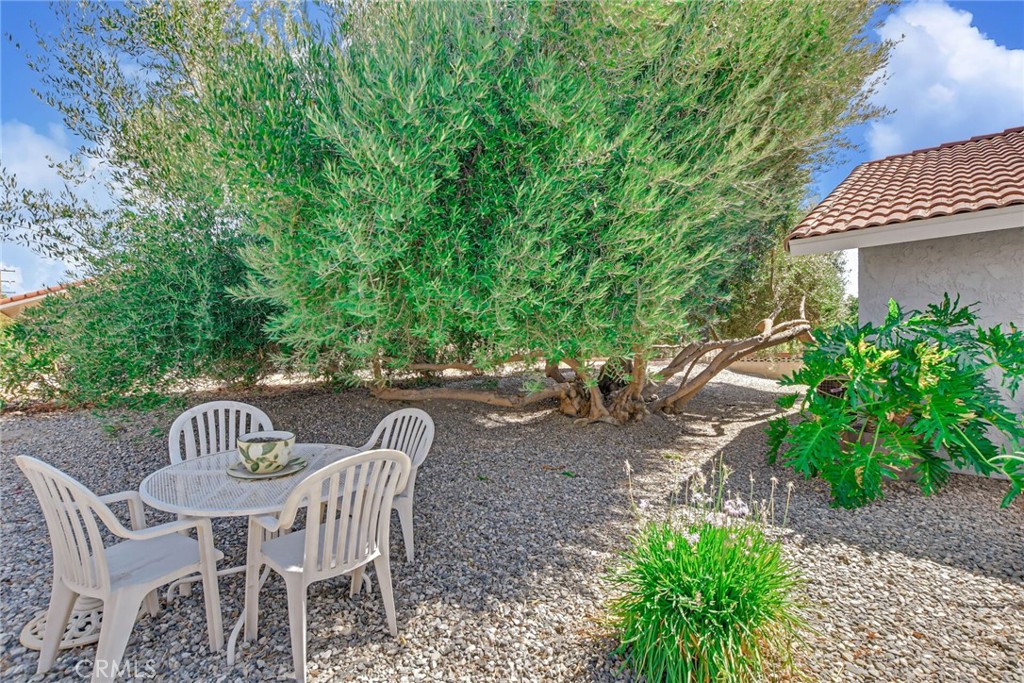 1102 Mayten Tree Court