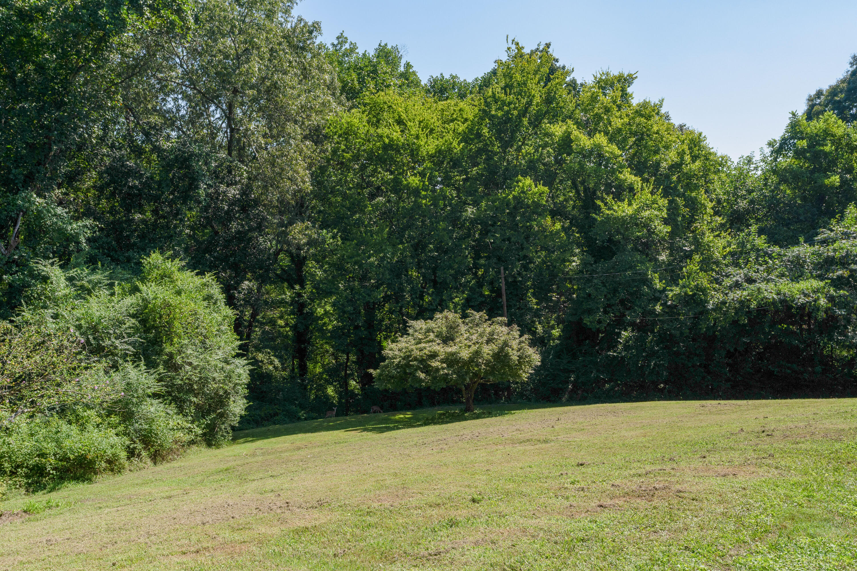 4605 Tarpon Trail