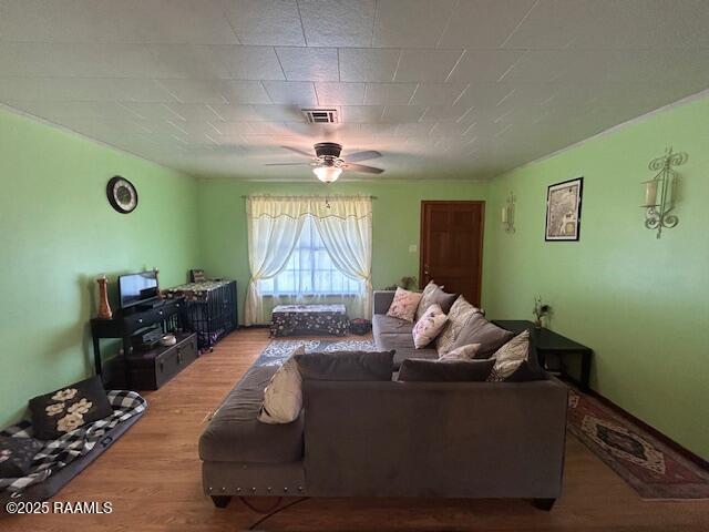 355 Stephanie Street
