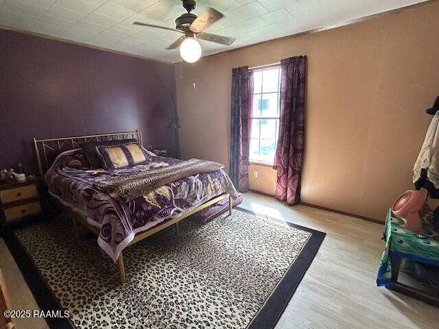 355 Stephanie Street
