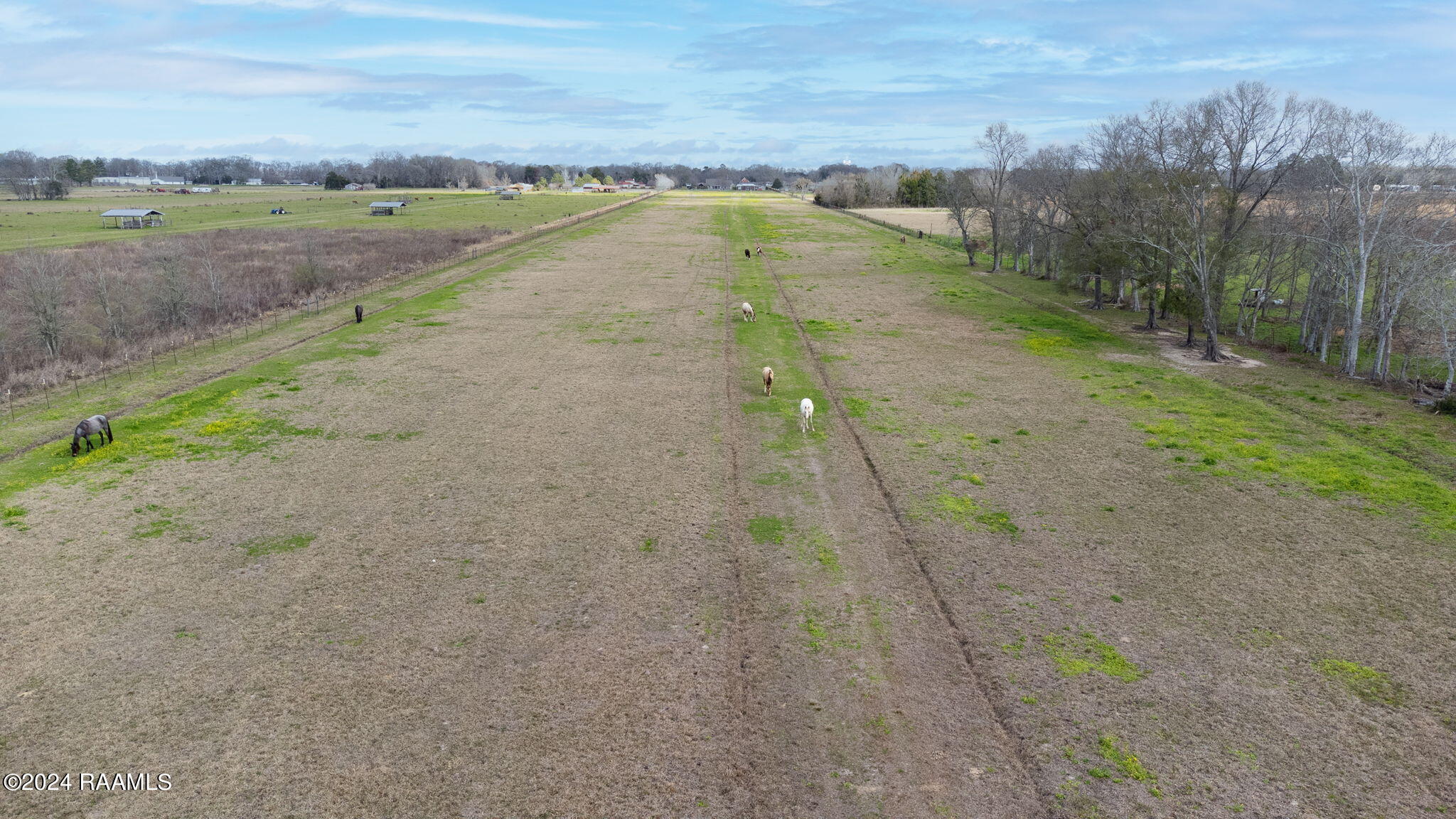 4419 Highway 31