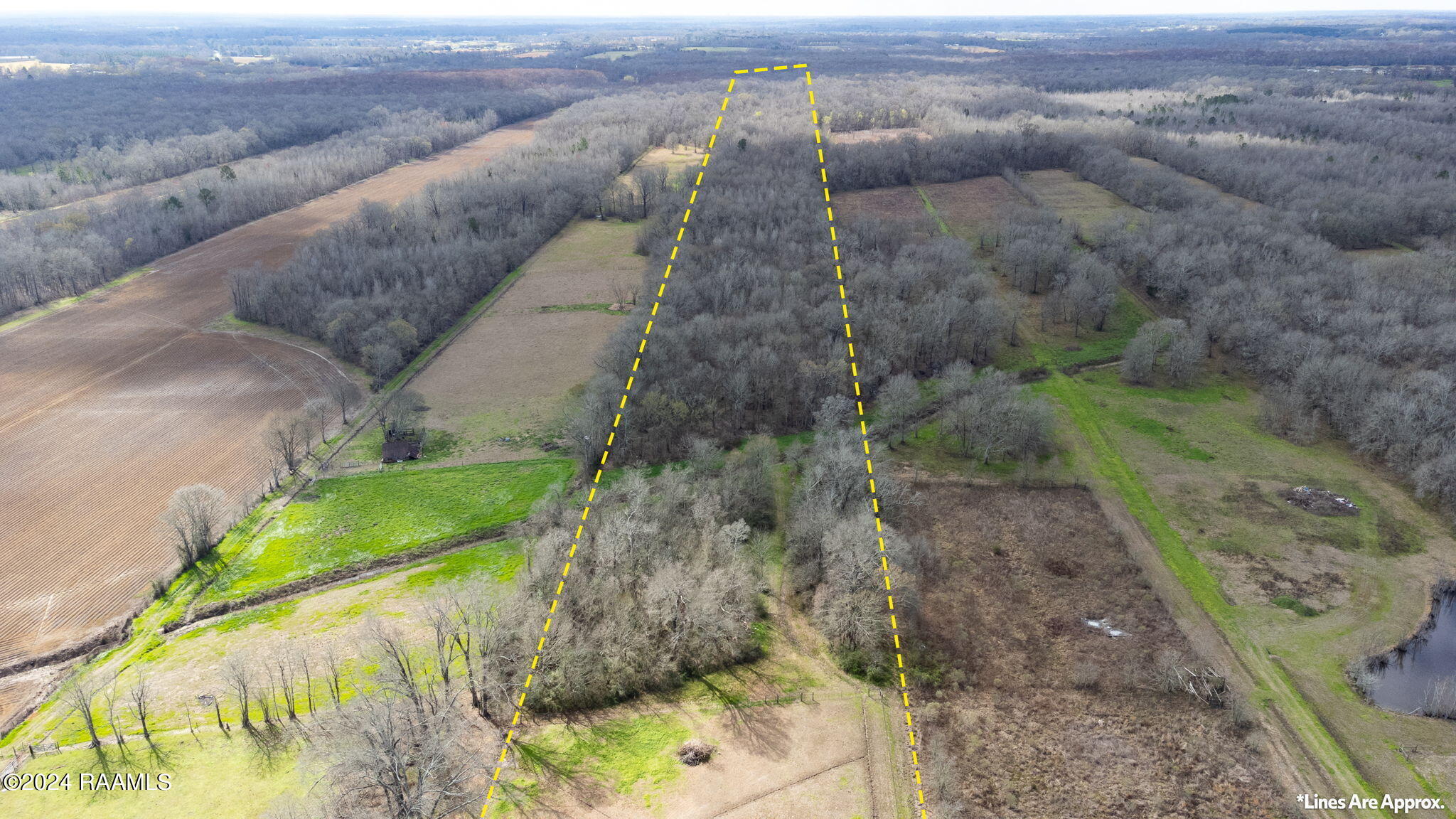 4419 Highway 31