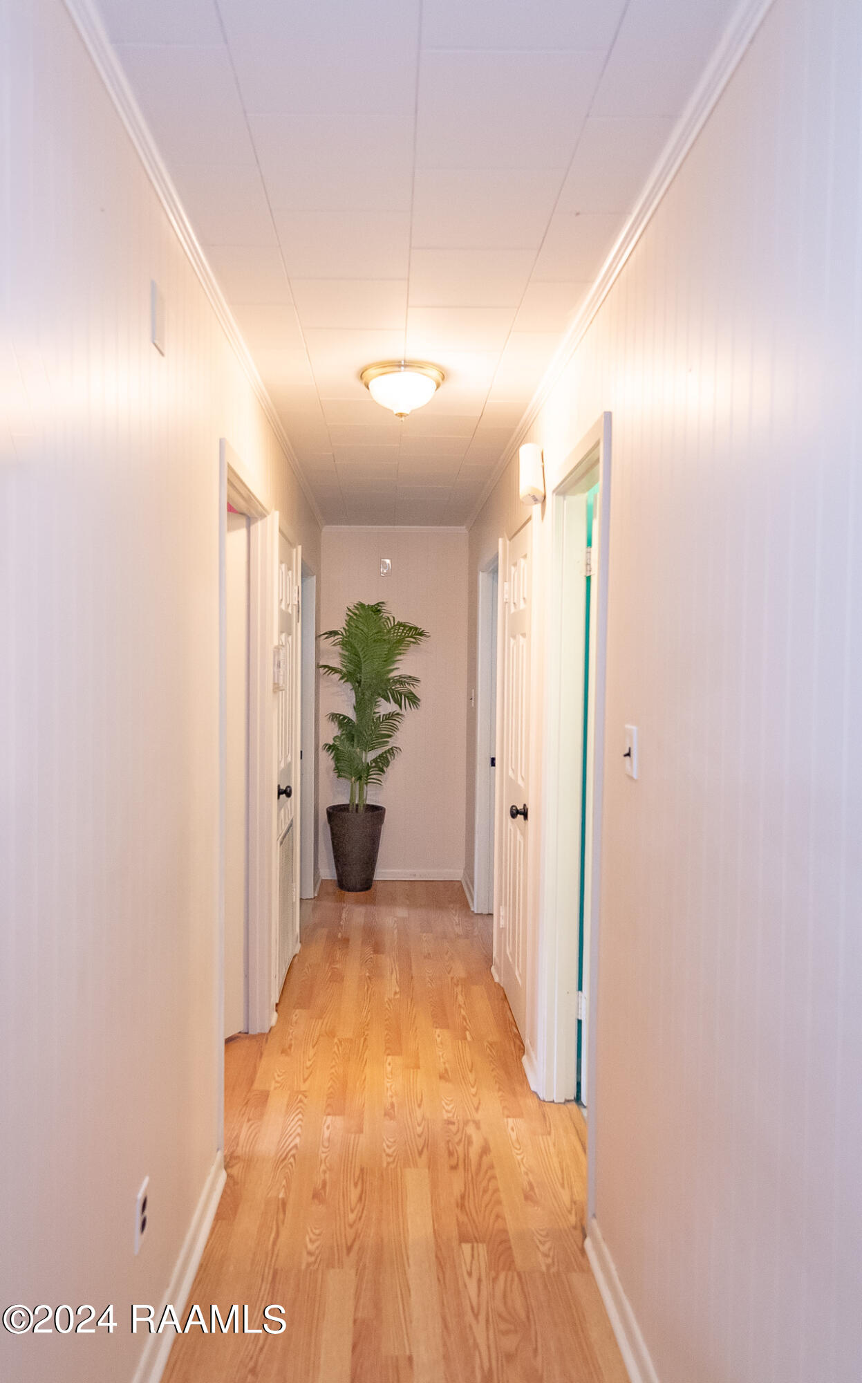 2454 6th Street