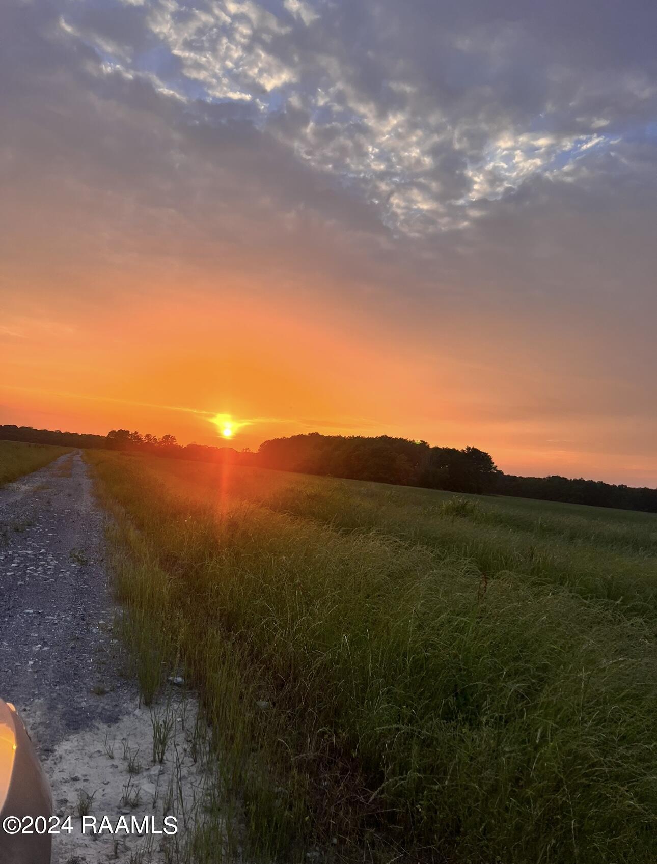 Lot 5 Savoie Road