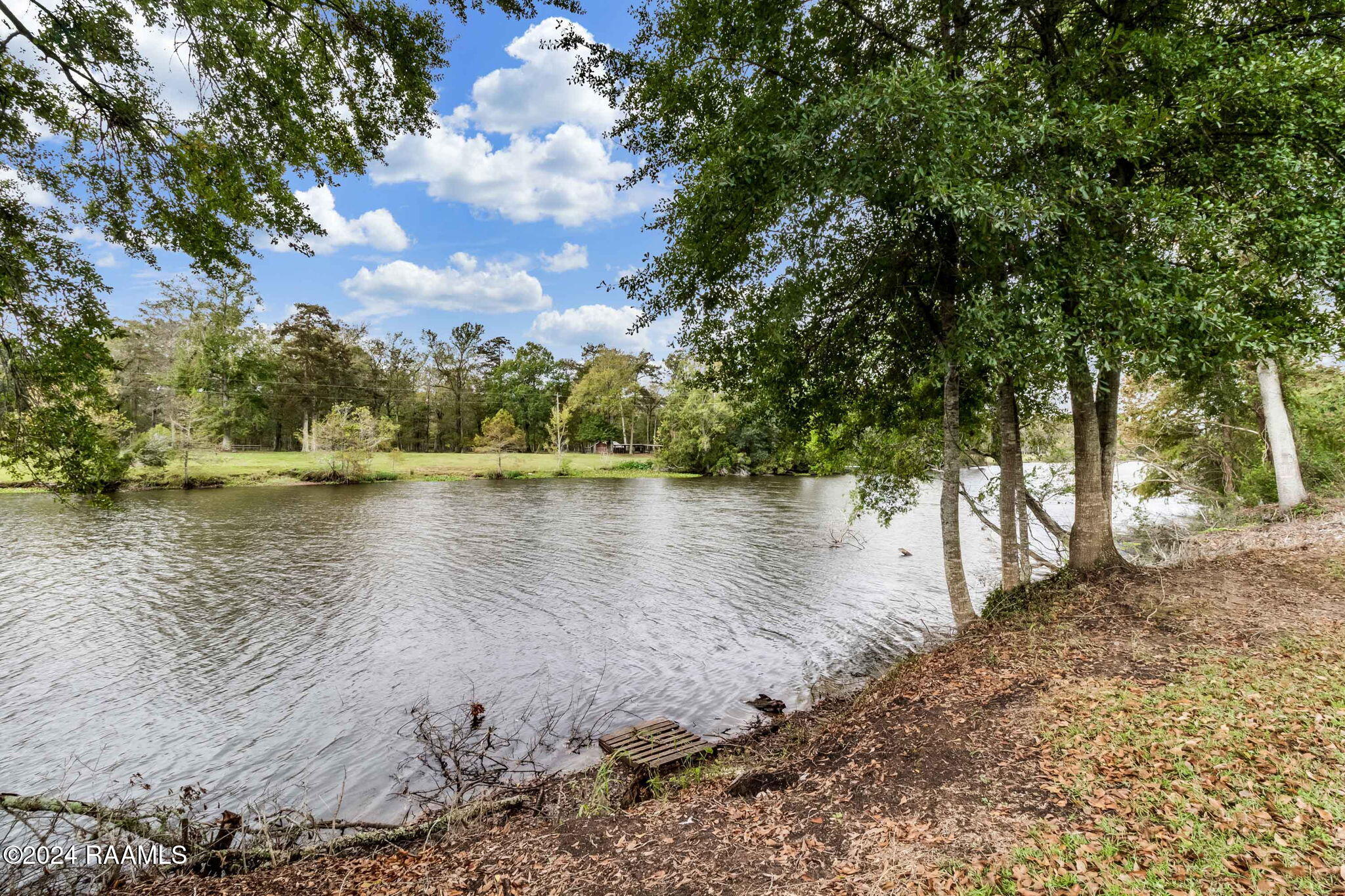 225 Horseshoe Loop
