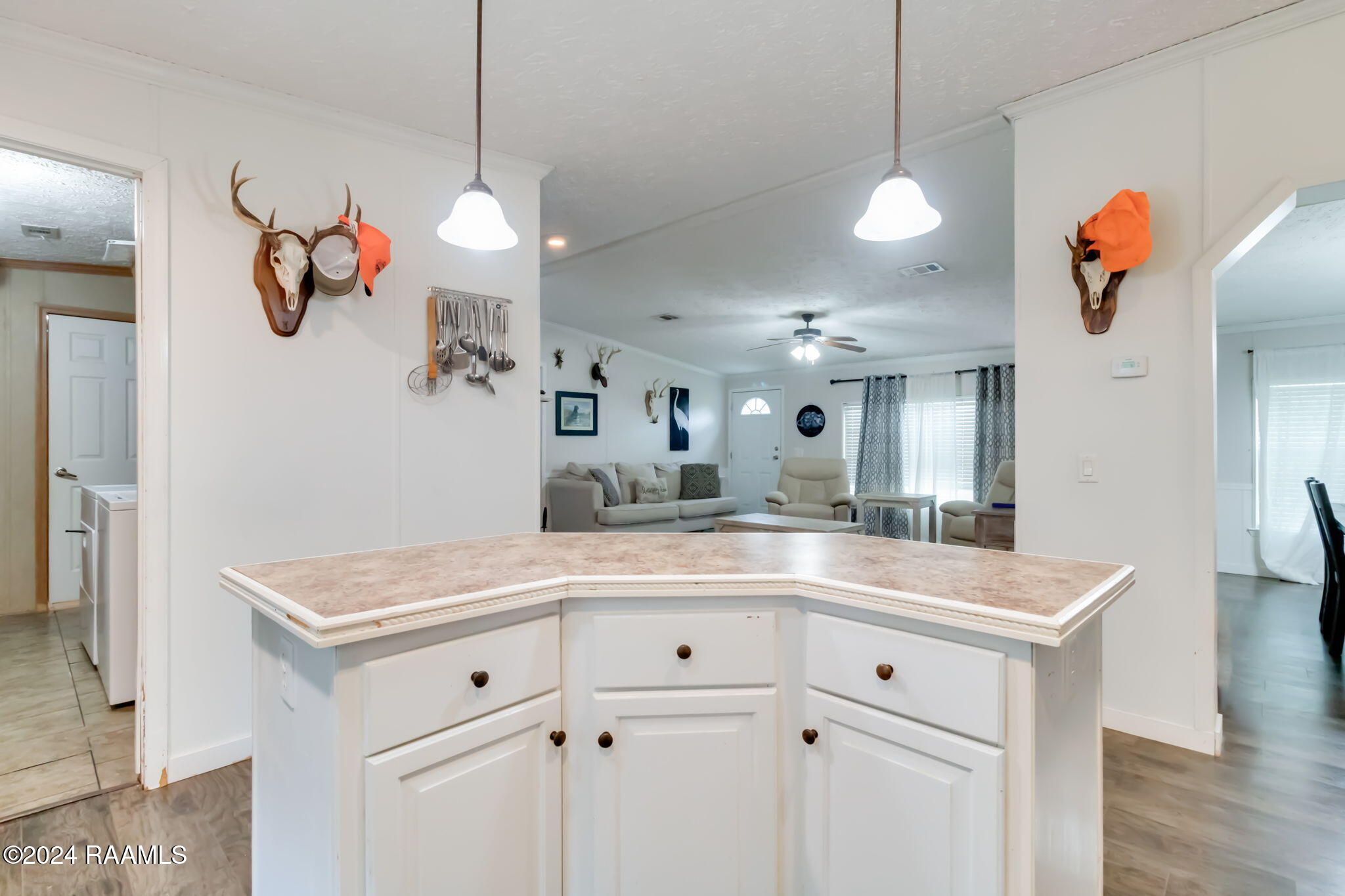 225 Horseshoe Loop
