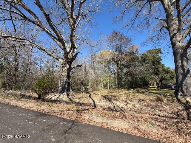 919 Heidi B Road