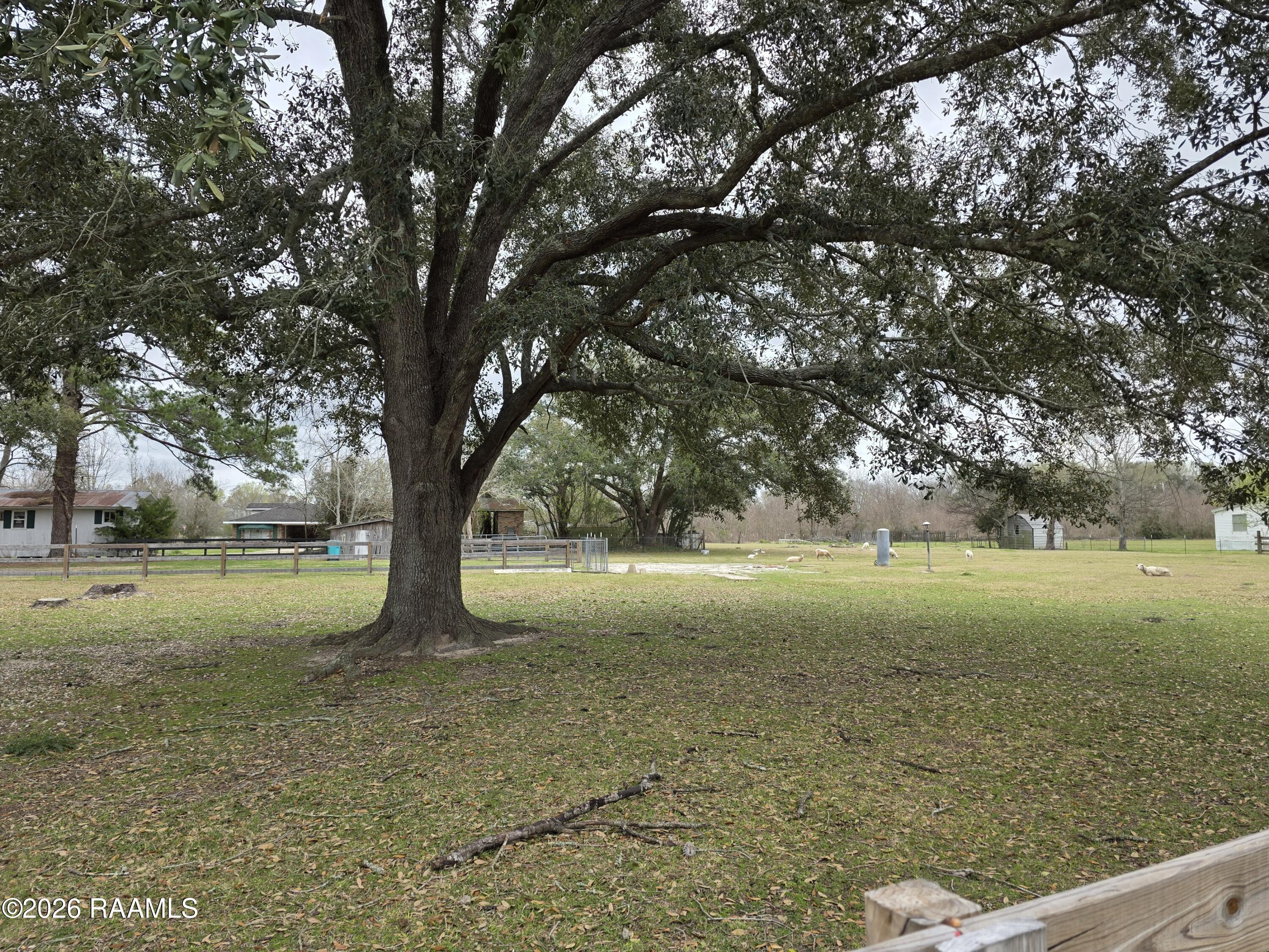 7338 Hwy 190