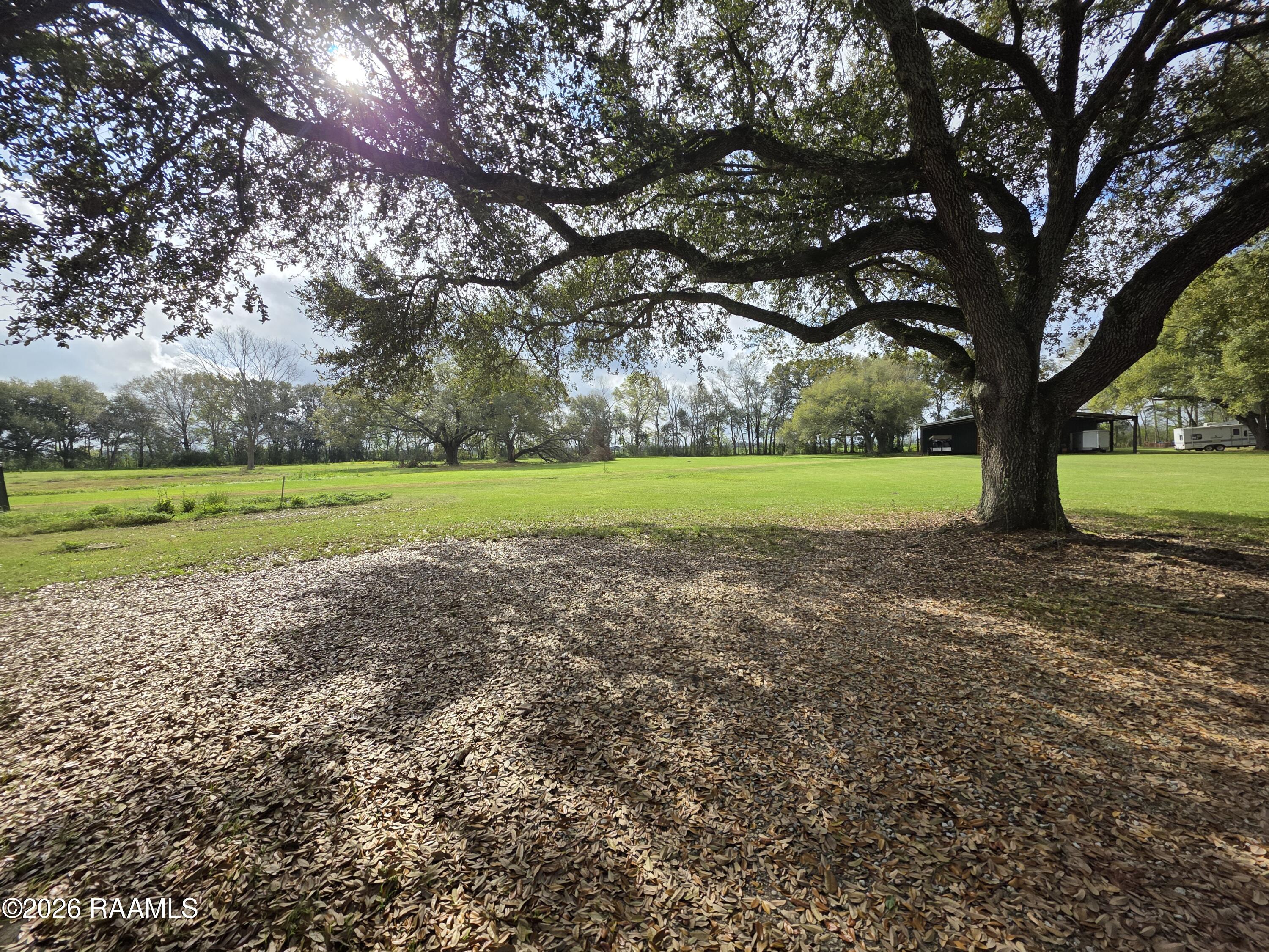 Vidrine Road # 4 Unit: Tract 4