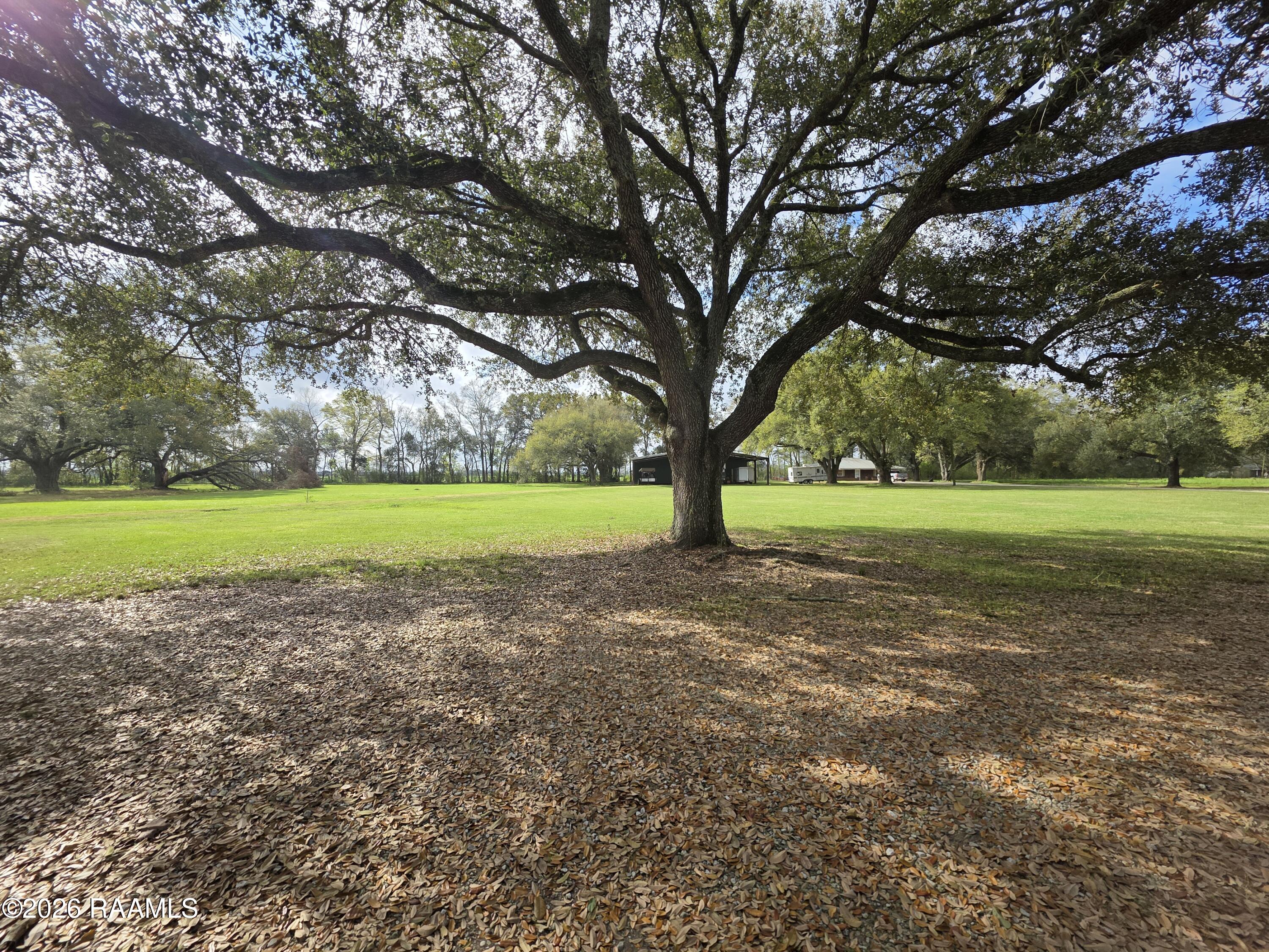 5602 Vidrine Road # 2 Unit: Tract 2