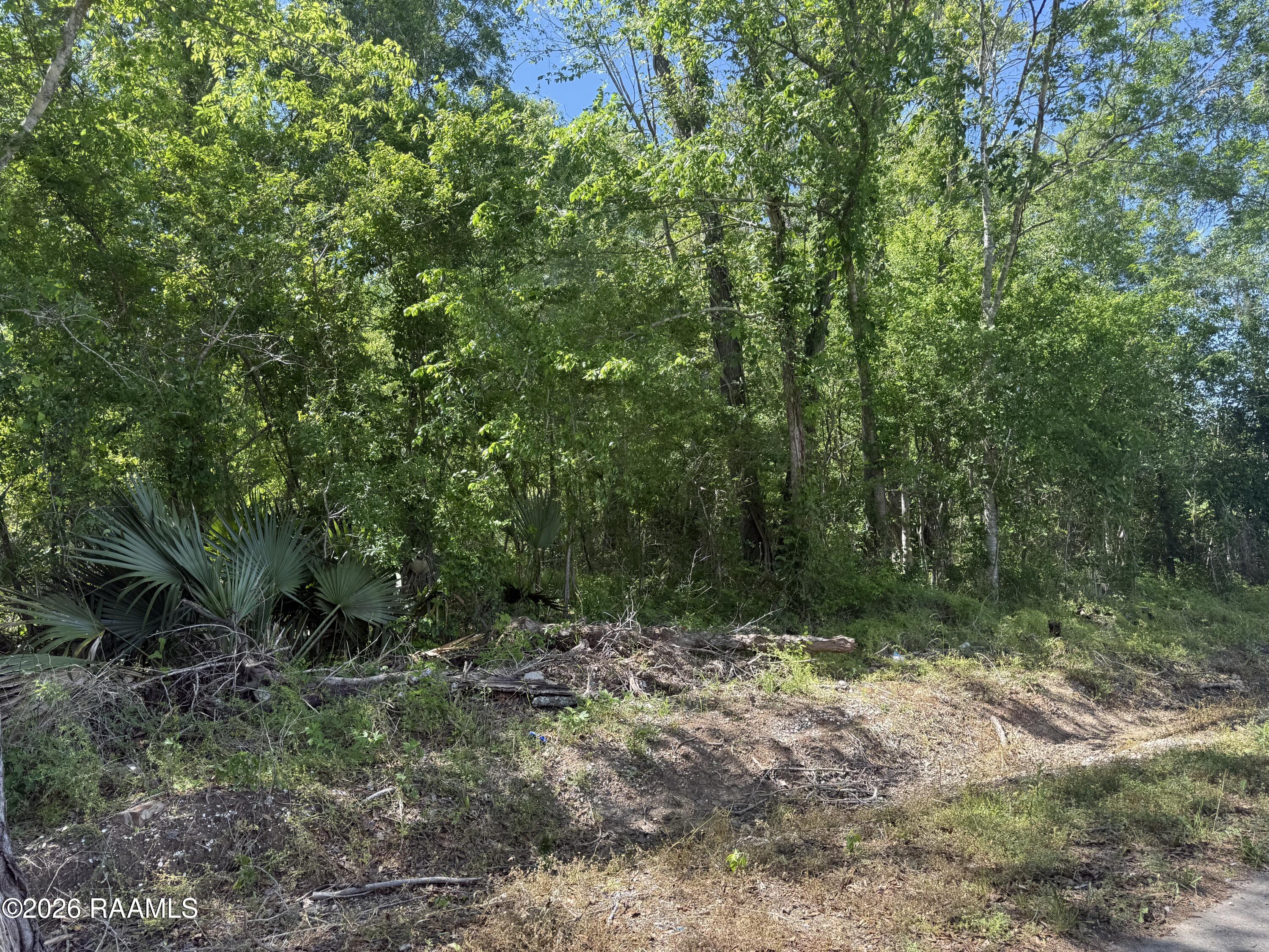 Tbd Three Mile Avenue