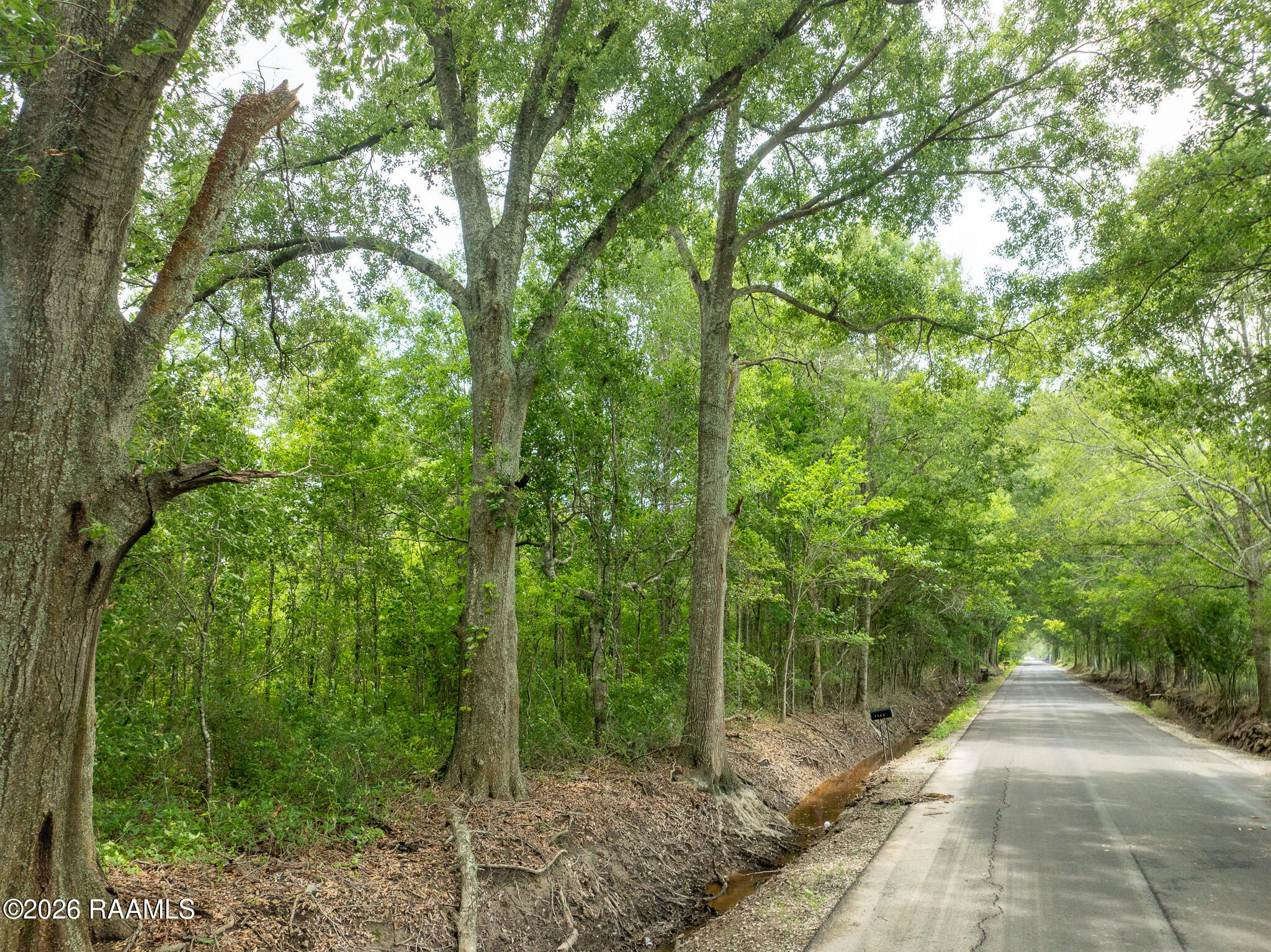 Chris Road