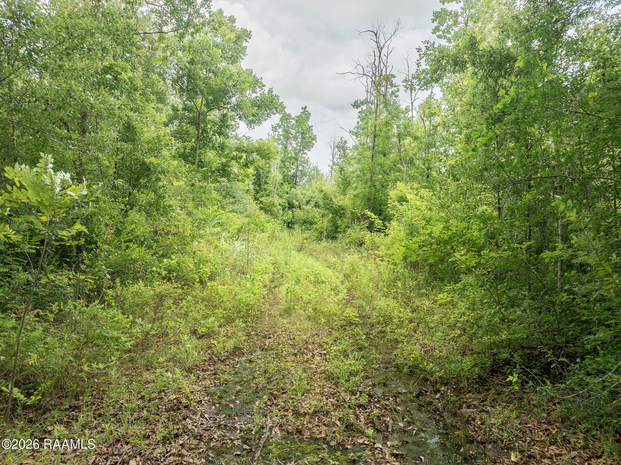 Chris Road