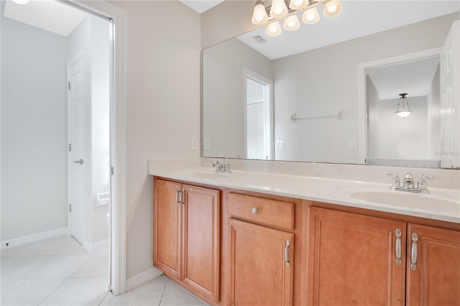 3213 EAGLE WATCH DR