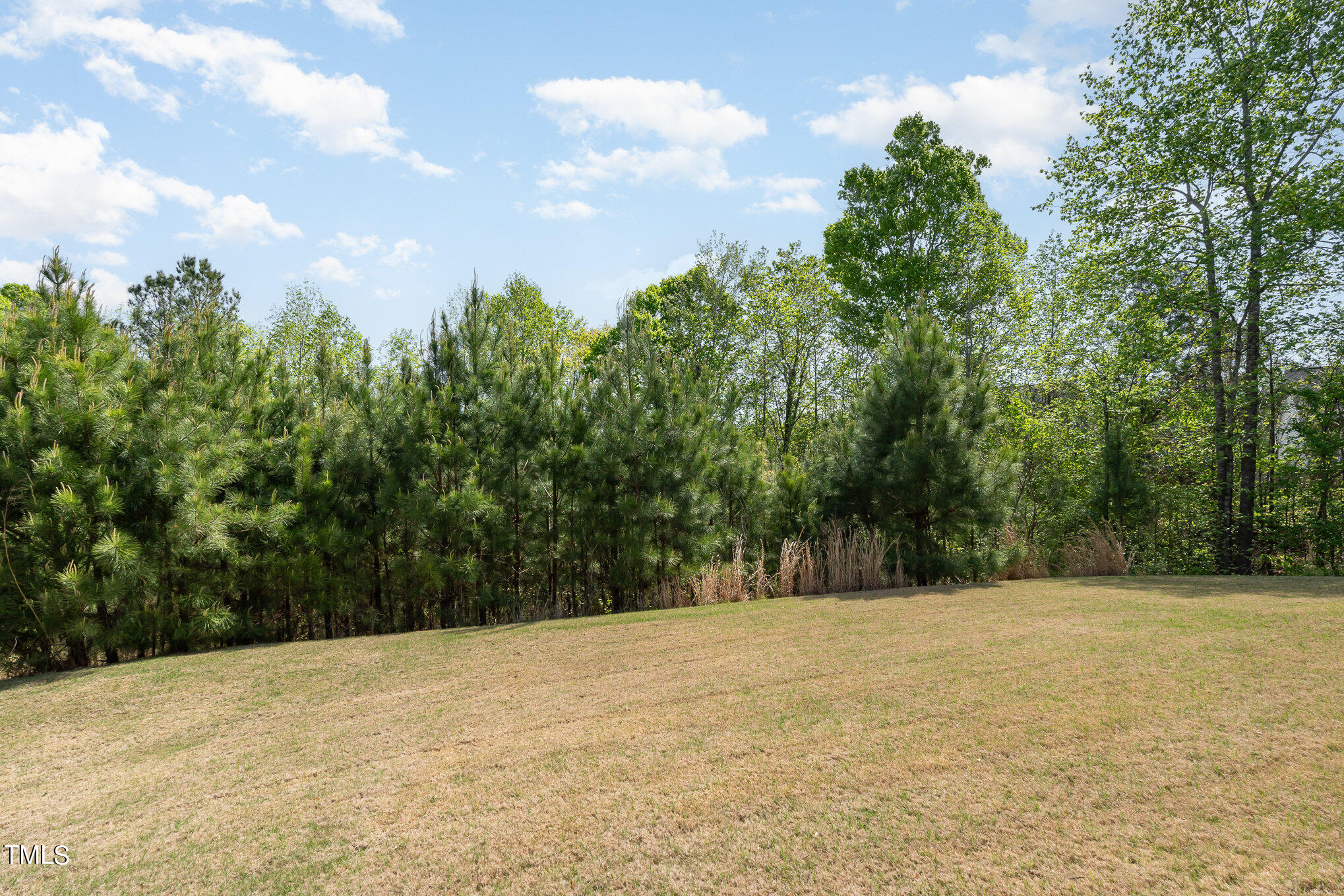 52 Neuse Overlook Drive