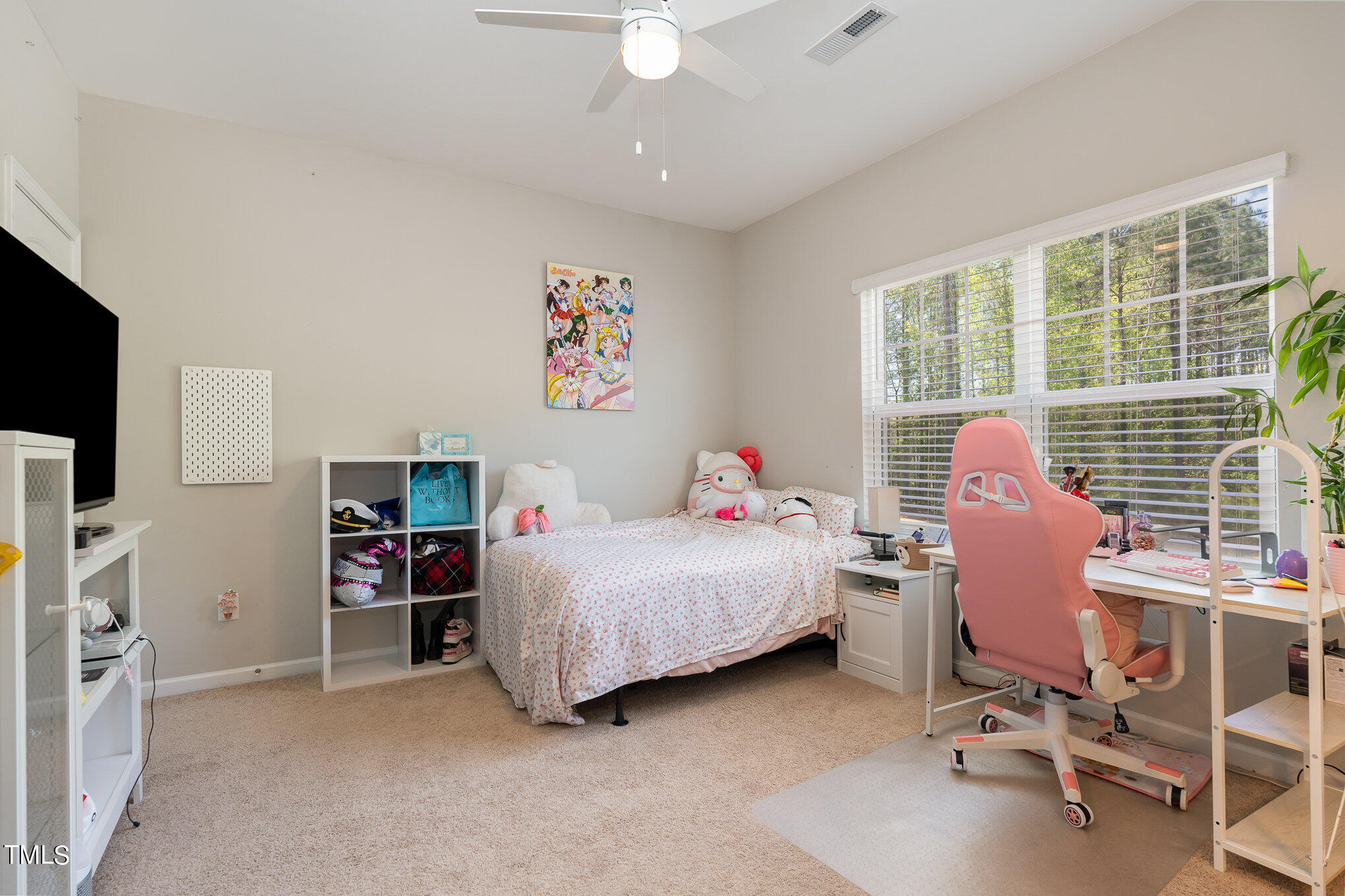 52 Neuse Overlook Drive