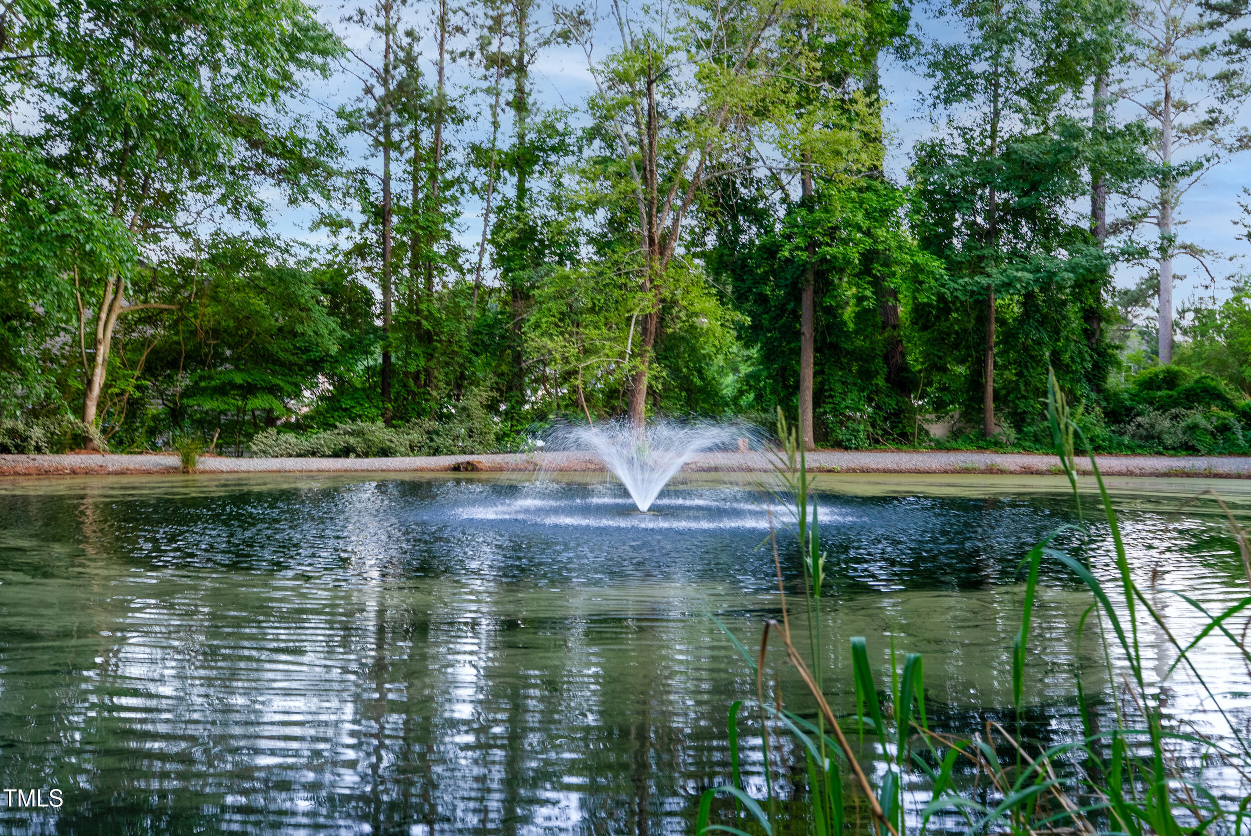 131 Cricketgrass Drive