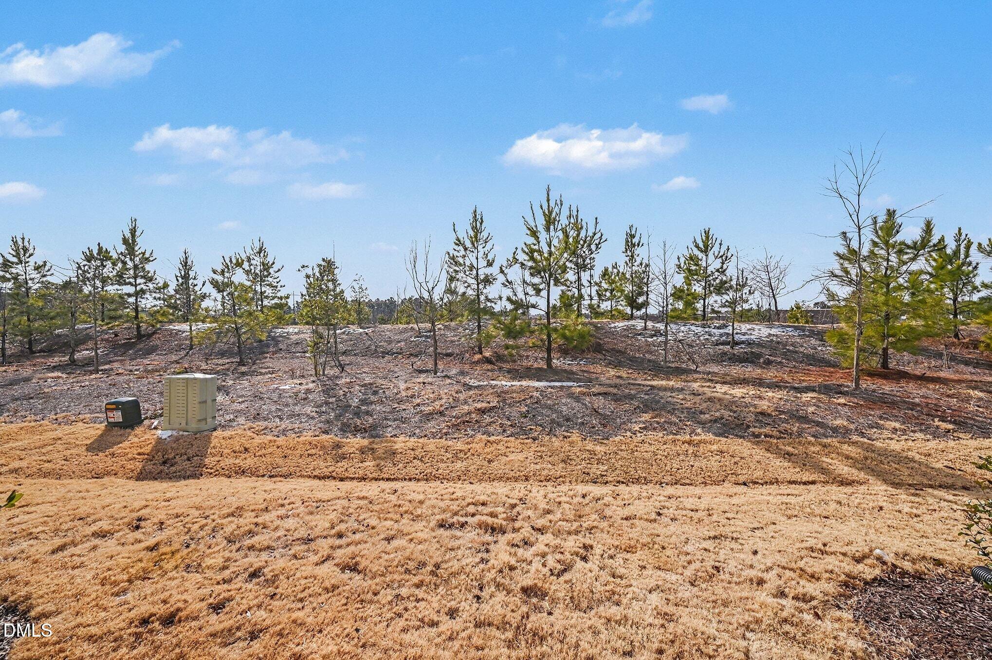 2132 Terrawood Drive