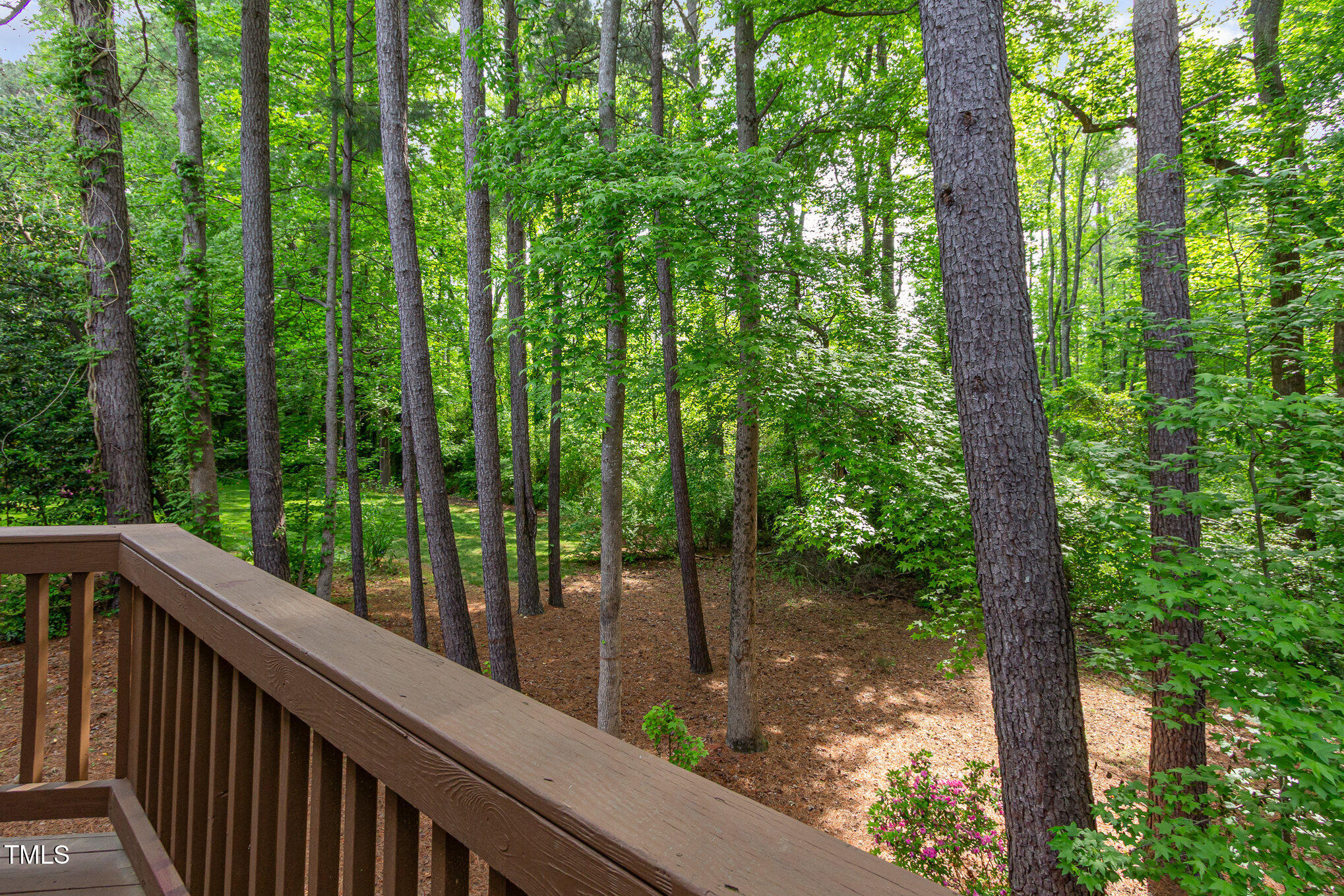 131 Longbridge Drive