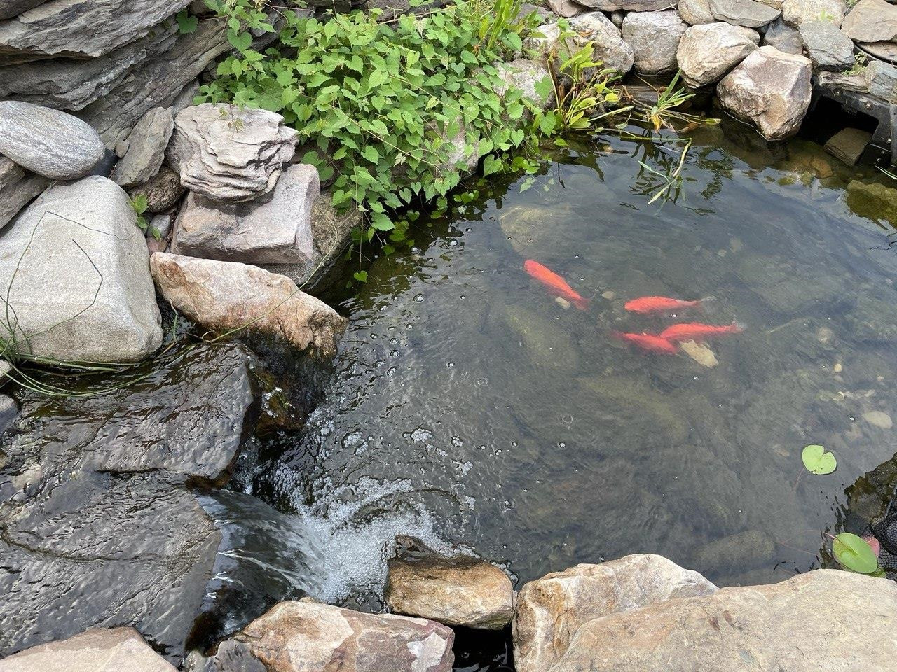 1132 George Bason Road