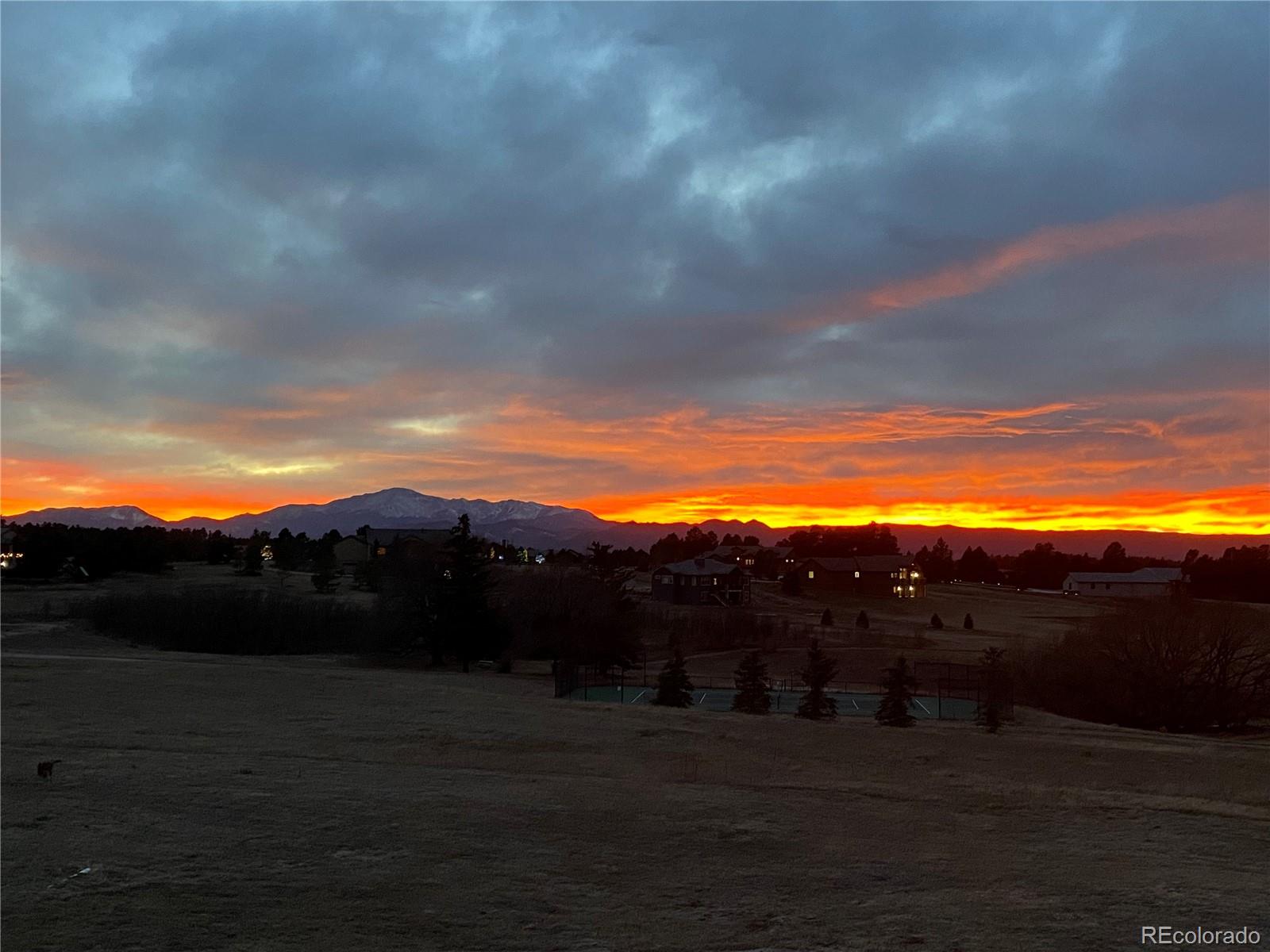 16482 Timber Meadow Drive