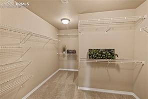 7168 Mitchellville Way