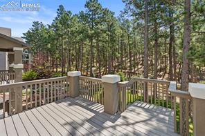 16093 Enchanted Peak Way