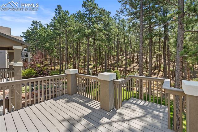16093 Enchanted Peak Way