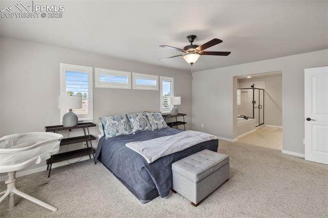 16093 Enchanted Peak Way