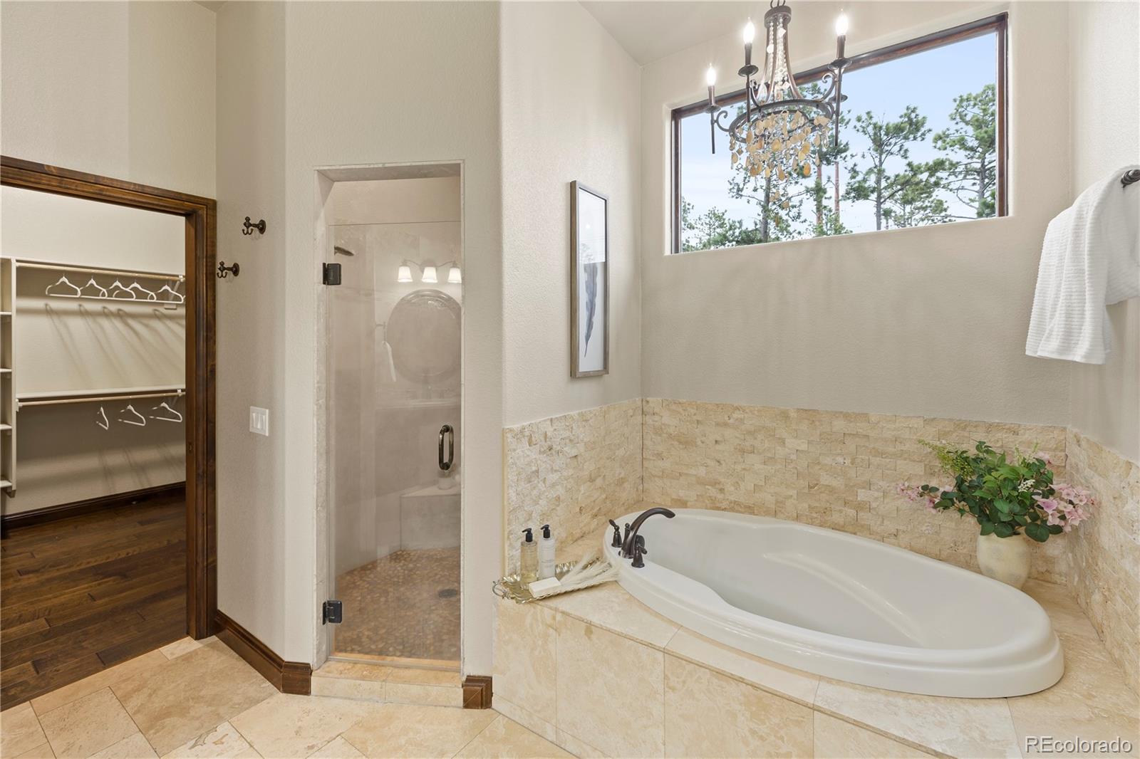 16104 Pole Pine Point